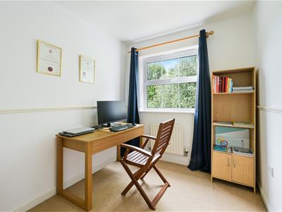 Picture 19